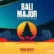 dota 2 major bali